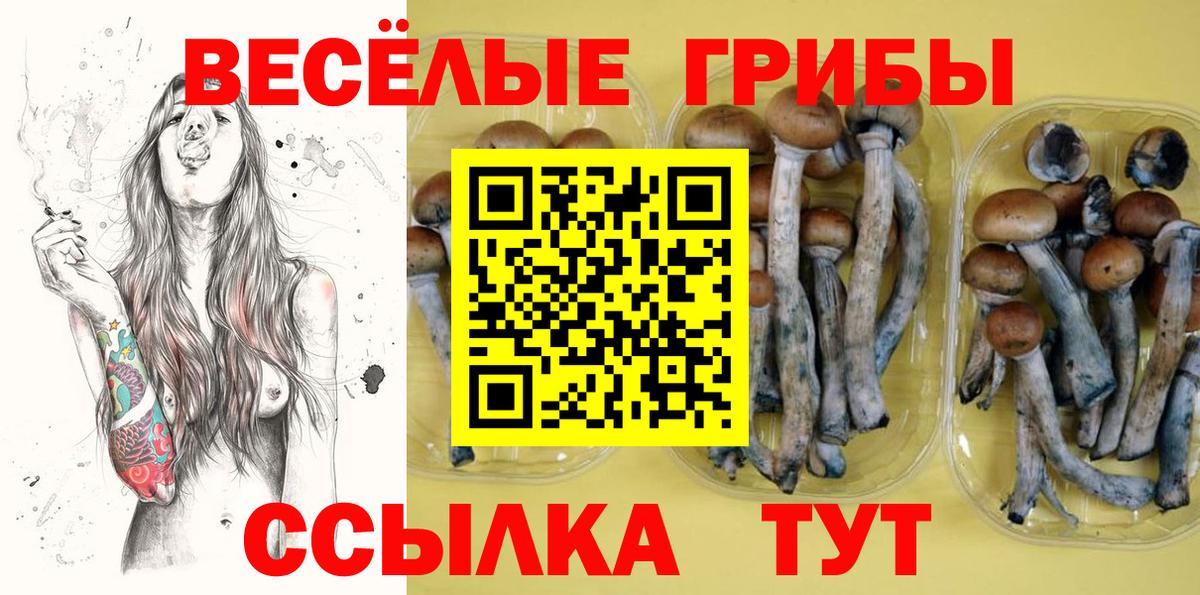 Псилоцибиновые грибы прущие грибы Жигулёвск
